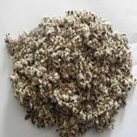cotton seed hull